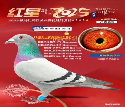 �����ر��Ĺظ���116��