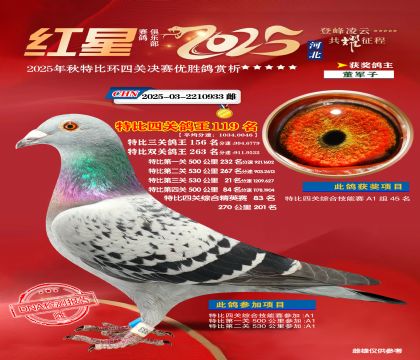 �����ر��Ĺظ���119��