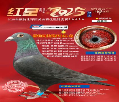 �����ر��Ĺظ���121��