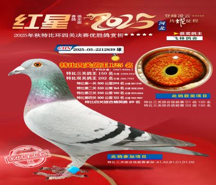 �����ر��Ĺظ���125��