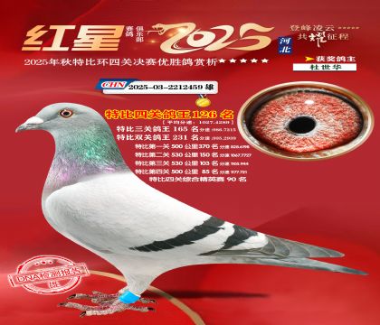 �����ر��Ĺظ���126��