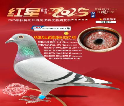 �����ر��Ĺظ���127��