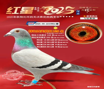 �����ر��Ĺظ���128��