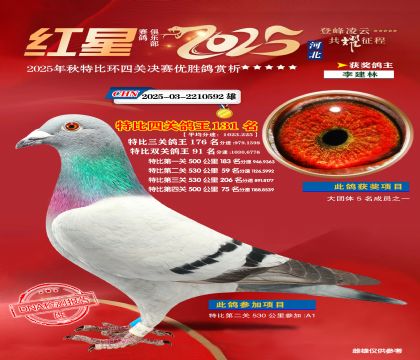 �����ر��Ĺظ���131��