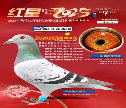 �����ر��Ĺظ���132��