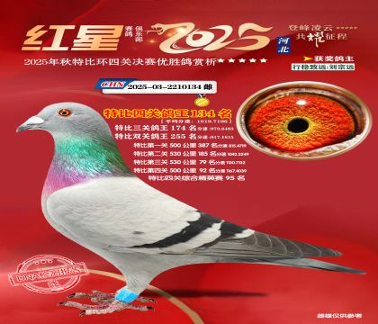 �����ر��Ĺظ���134��