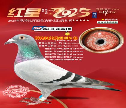 �����ر��Ĺظ���135��