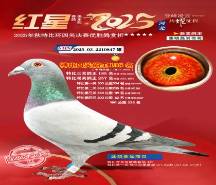 �����ر��Ĺظ���138��