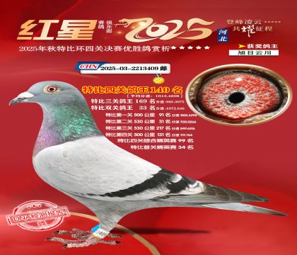 �����ر��Ĺظ���140��