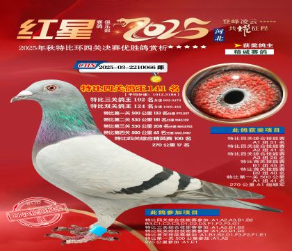 �����ر��Ĺظ���141��