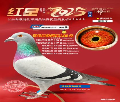 �����ر��Ĺظ���145��