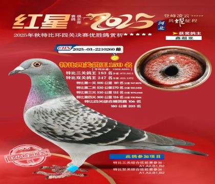 �����ر��Ĺظ���150��