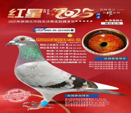 �����ر��Ĺظ���151��