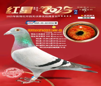 �����ر��Ĺظ���155��