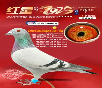 �����ر��Ĺظ���156��