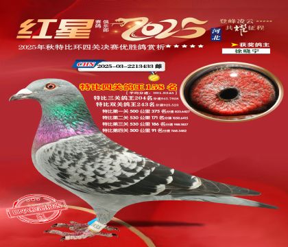 �����ر��Ĺظ���158��