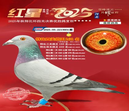 �����ر��Ĺظ���161��