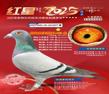 �����ر��Ĺظ���162��