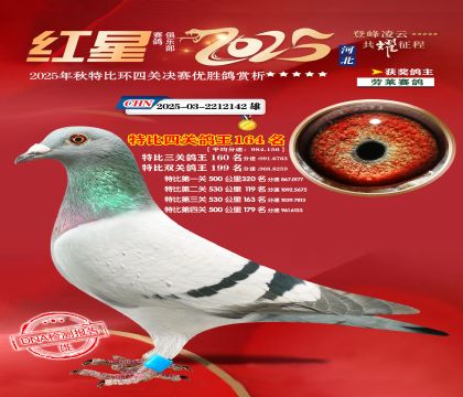 �����ر��Ĺظ���164��