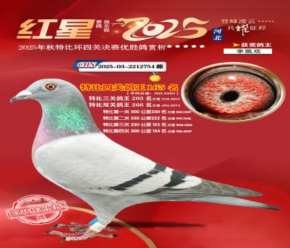 �����ر��Ĺظ���165��