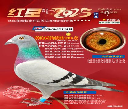 �����ر��Ĺظ���166��