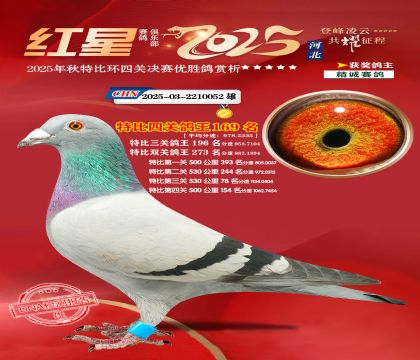 �����ر��Ĺظ���169��