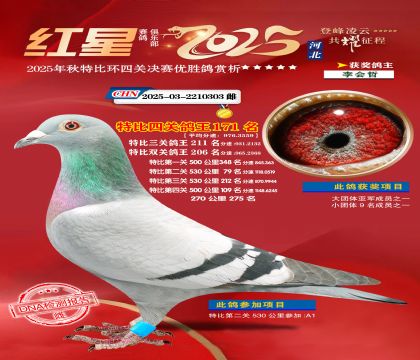 �����ر��Ĺظ���171��