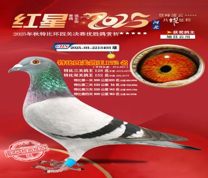 �����ر��Ĺظ���172��