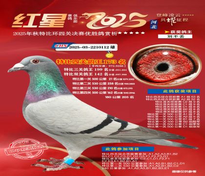 �����ر��Ĺظ���173��