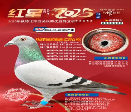 �����ر��Ĺظ���174��