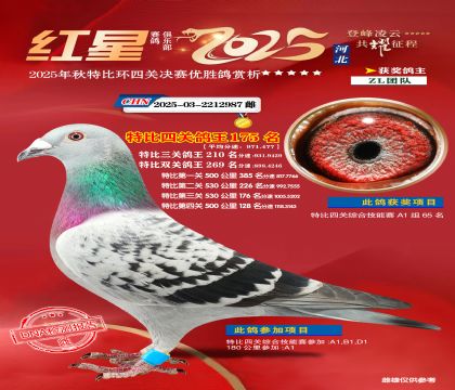 �����ر��Ĺظ���175��