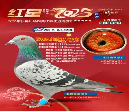 �����ر��Ĺظ���176��