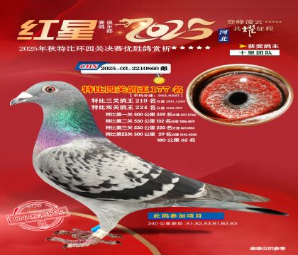 �����ر��Ĺظ���177��