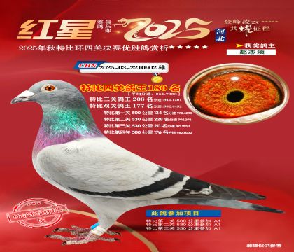 �����ر��Ĺظ���180��