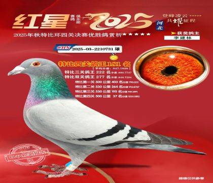 �����ر��Ĺظ���181��