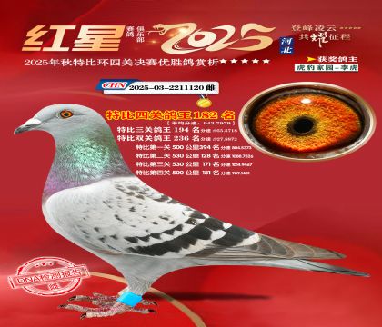 �����ر��Ĺظ���182��