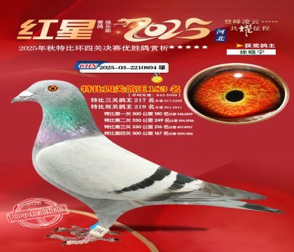 �����ر��Ĺظ���183��