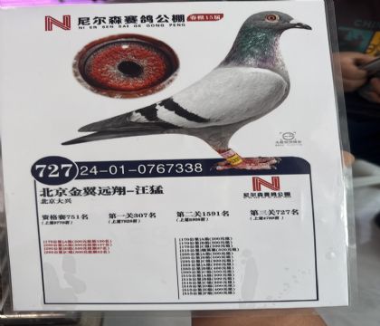 1.᠖ɭِﴺ彩(jing)