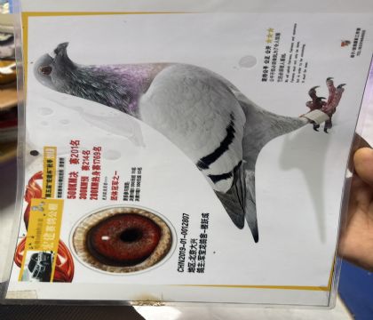 10.Qِ2021F(tun)w܊֮һ