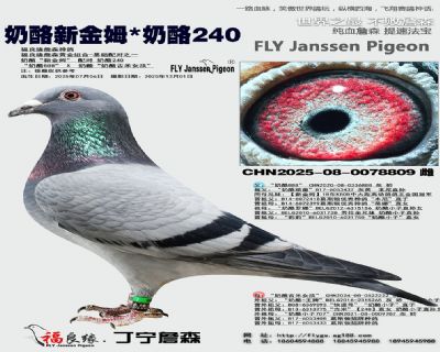 奶酪新金姆/奶酪240