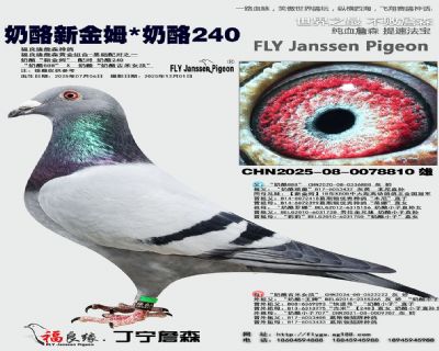 奶酪新金姆/奶酪240