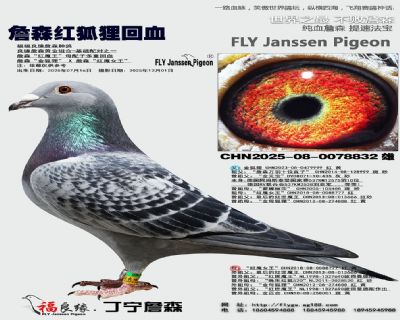 詹森紅魔王母配子多重回血