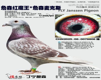 詹森紅魔王/詹森麥克斯