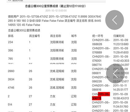 預(yù)賽“亞軍”
