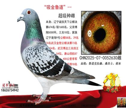 同父姐姐一25年公棚獲獎8000元