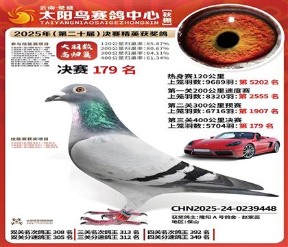 下代鴿25年最新