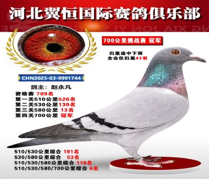 血戰(zhàn)到底秋季700公里全會(huì)僅歸巢41羽1名