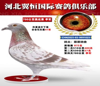 血戰(zhàn)到底秋季700公里全會(huì)僅歸巢41羽3名