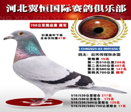 血戰(zhàn)到底秋季700公里全會(huì)僅歸巢41羽4名