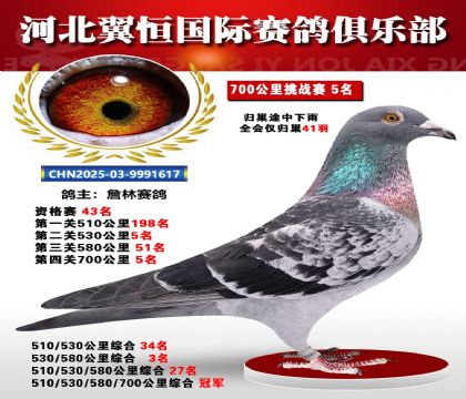 血戰(zhàn)到底秋季700公里全會(huì)僅歸巢41羽5名